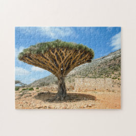 Dragon Blood Tree, Socotra Island, Jemen Puzzle
