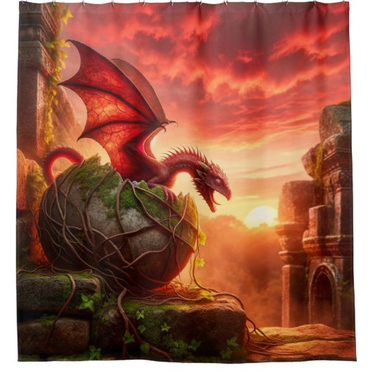 Dragon Duschvorhang (Vorderseite)
