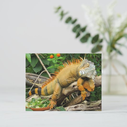 Dragon-Eidechse Postkarte (Stehend Vorderseite)