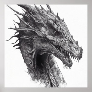Dragon Fantasstic Wild Nature Animal Illustration Poster