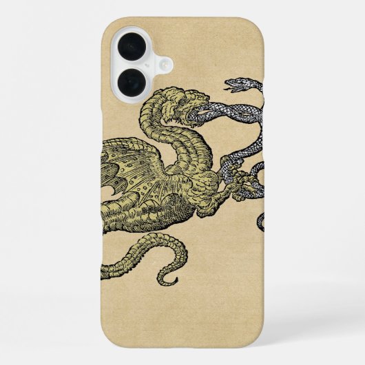 Dragon Fighting Snake iPhone Hülle (Rückseite)