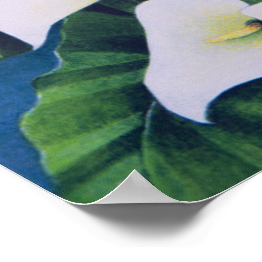 Dragon Flies Poster (Ecke)