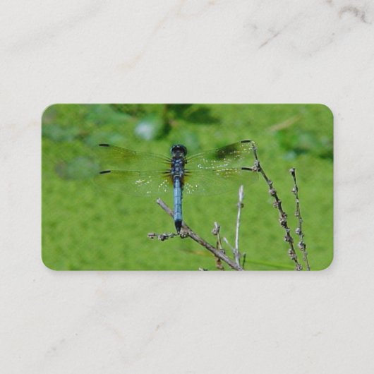Dragon Fly Business Cards Visitenkarte (Vorderseite)