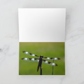 Dragon Fly Grußkarten Karte (Innenseite)