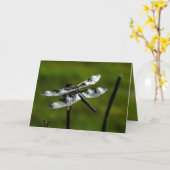 Dragon Fly Grußkarten Karte (Gelbe Blume)