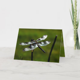 Dragon Fly Grußkarten Karte