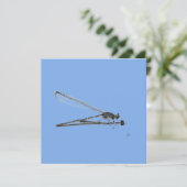 Dragon Fly Karte (Stehend Vorderseite)