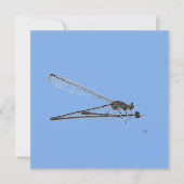Dragon Fly Karte (Vorderseite)