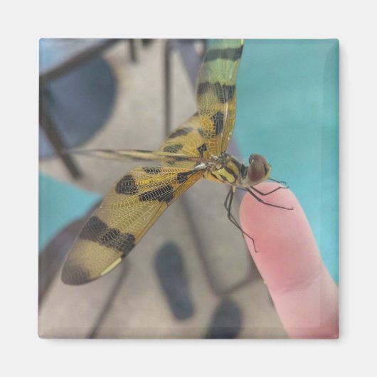 Dragon Fly Magnet (Vorne)