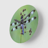 Dragon fly perched on grass, Canada Runde Wanduhr (Winkel)