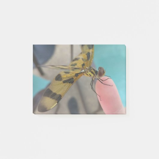 Dragon Fly Post-it Klebezettel (Vorderseite)