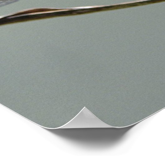 Dragon Fly Poster (Ecke)