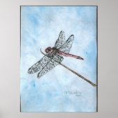 Dragon Fly Poster (Vorne)