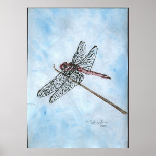 Dragon Fly Poster