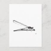 Dragon Fly Postkarte (Vorderseite)