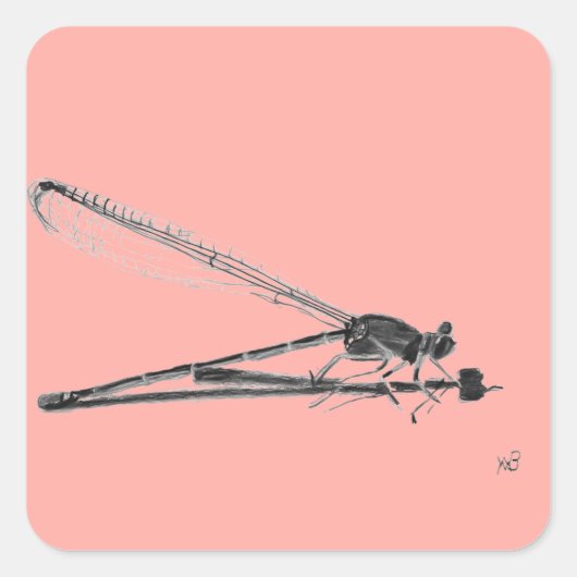 Dragon Fly Quadratischer Aufkleber (Vorderseite)