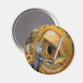 Dragon Folk Tale Magnet (Vorderseite/Rückseite)