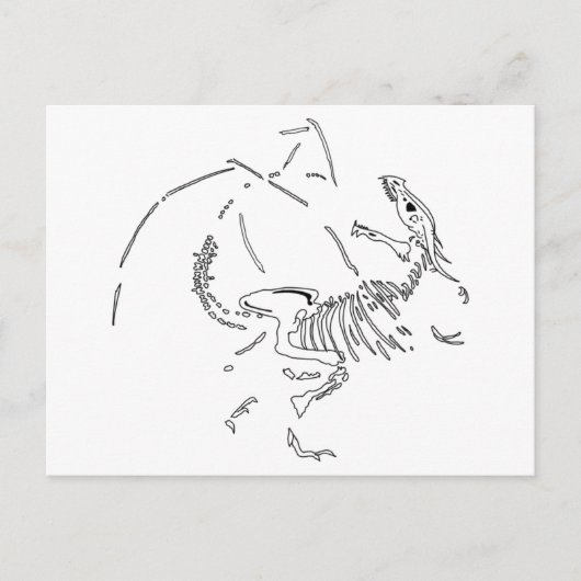 Dragon Fossils Postkarte (Vorderseite)