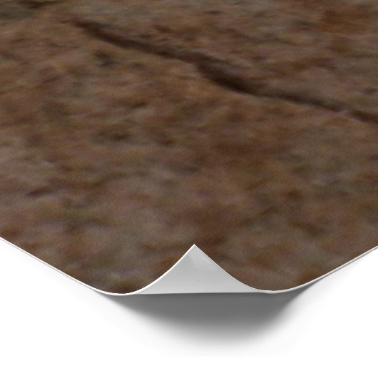 Dragon Fountain Poster (Ecke)