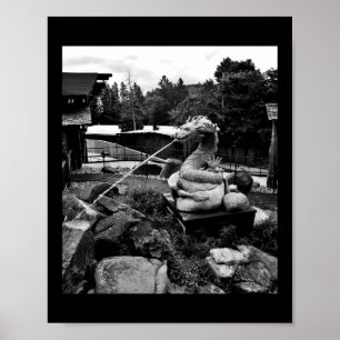 Dragon Fountain Poster