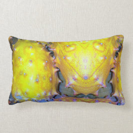 Dragon Fruchtknochen Lendenkissen