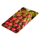 Dragon Fruit | Can Duoc Market Magnet (Linke Seite)