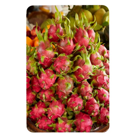 Dragon Fruit | Can Duoc Market Magnet (Vertikal)