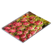 Dragon Fruit | Can Duoc Market Notizblock (Linke Seite)