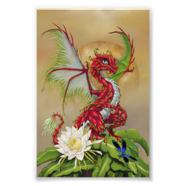 Dragon Fruit Dragon 4x6 Print Fotodruck