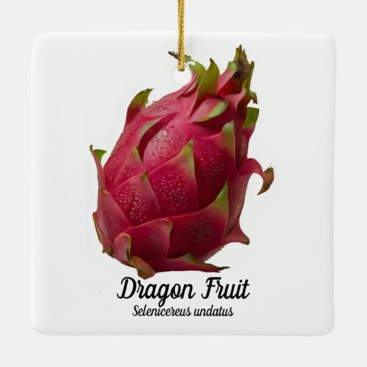 Dragon Fruit Keramikornament (Rückseite)