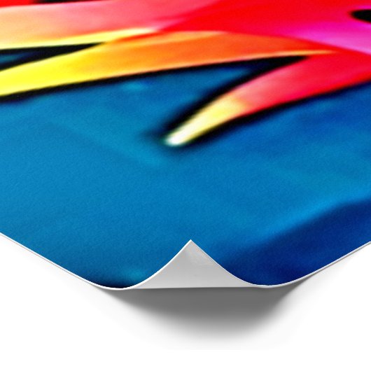 Dragon Fruit Pattern Art Poster (Ecke)