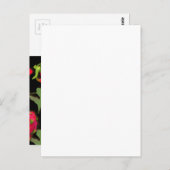 Dragon Fruit Postcard Postkarte (Vorne/Hinten)