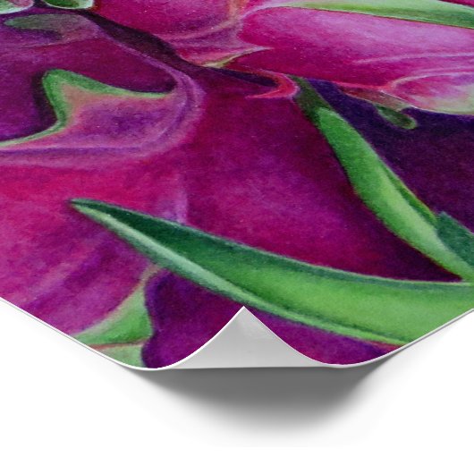 Dragon Fruit Poster (Ecke)