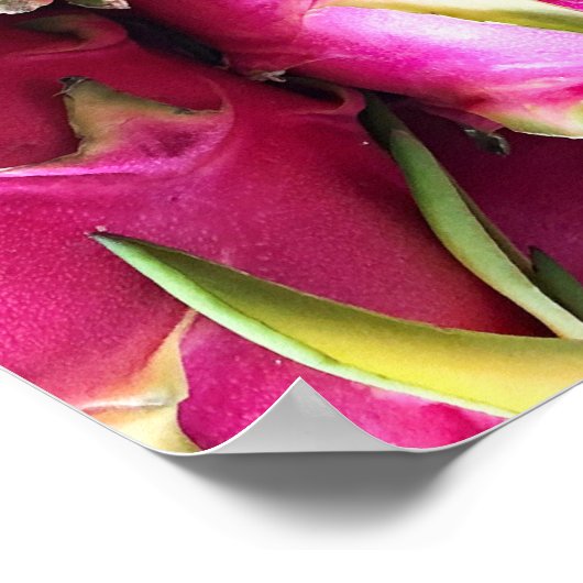 Dragon Fruit Poster (Ecke)
