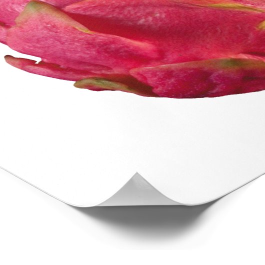 Dragon Fruit Poster (Ecke)