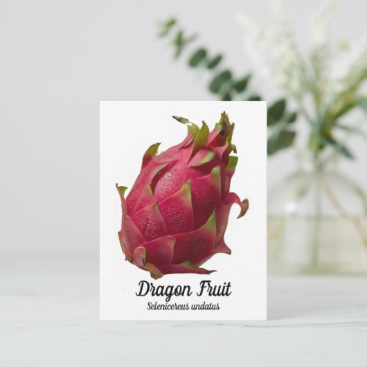 Dragon Fruit Postkarte (Stehend Vorderseite)