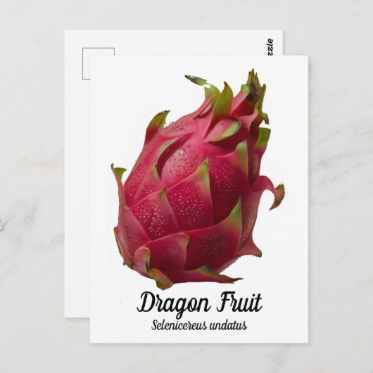 Dragon Fruit Postkarte (Vorne/Hinten)