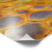 Dragon Guardian Fotodruck (Ecke)