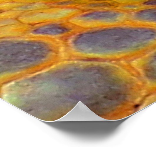 Dragon Guardian Poster (Ecke)