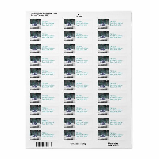 Dragon Guarding Castle Mailing Labels (Vorne)