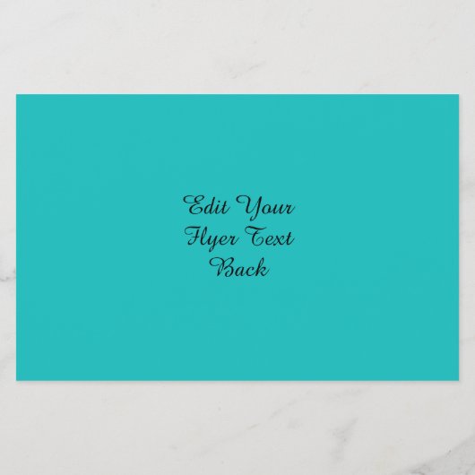 Dragon Heart Flyer (Hinten)