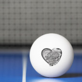 Dragon Heart Tischtennisball (Netto)