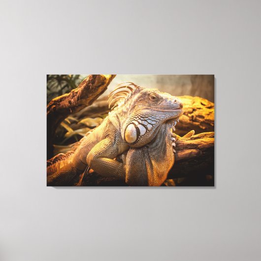 Dragon Iguana Name Fred Wrapped canvas Leinwanddruck (Vorderseite)