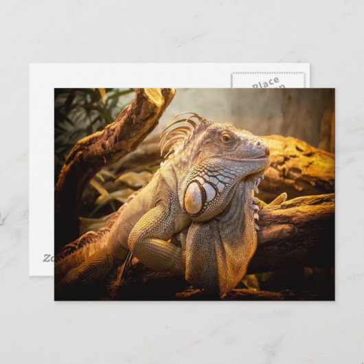 Dragon Iguana Postkarte (Vorne/Hinten)