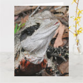 Dragon Karte (Gelbe Blume)