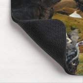 Dragon King - Die Fantasie der Ansammlung Mousepad (Ecke)