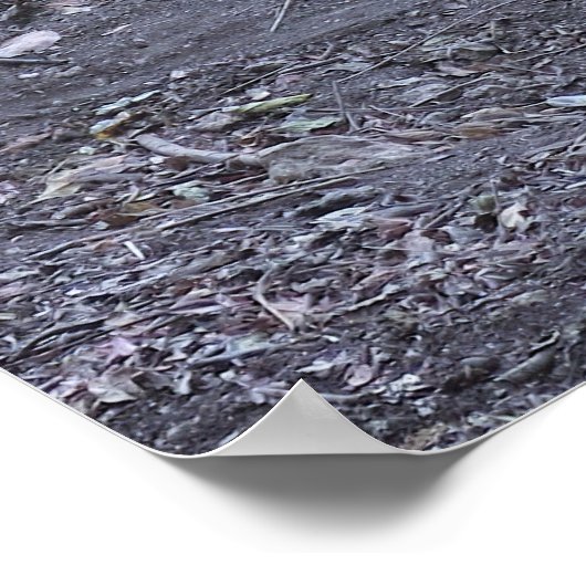 Dragon-Liebe Poster (Ecke)