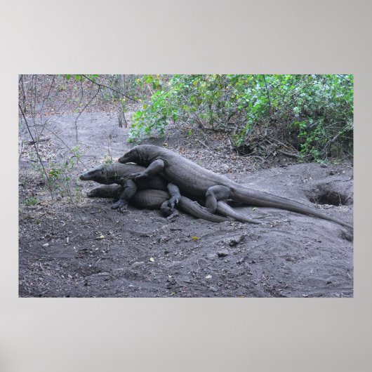 Dragon-Liebe Poster (Vorne)