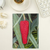 Dragon Lily Red Seed Head Notizblock