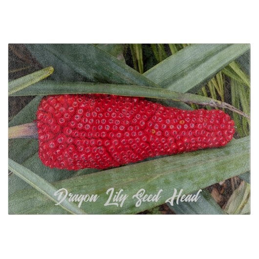 Dragon Lily Red Seed Head Schneidebrett (Vorderseite)